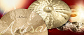 SABIAN 20" ARTISAN LIGHT RIDE ударный инструмент, тарелка, отделка Brilliant, стиль и звук Creative, металл B20 Bronze, вес: Medium