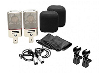 Austrian Audio OC818 Live Set  набор из двух микрофонов, держатели, ветрозащита