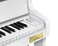 Casio Celviano GP-310WE цифровое фортепиано