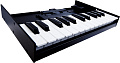 ROLAND K-25m 25-клавишная, чувствительная к нажатию клавиатура