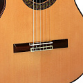 PEREZ 670 Spruce  классическая гитара, верхняя дека - массив немецкой ели, корпус - массив индийского палисандра