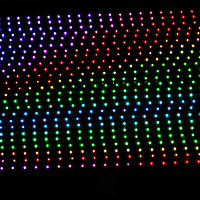 Involight LED SCREEN55 - LED RGB гибкий экран, управ.с РС через LedContSystem, цена за сегмент 5м