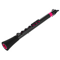 NUVO DooD (Black/Pink) блок-флейта DooD, строй С (до), АБС-пластик, цвет чёрный/розовый, в комплекте кейс, таблица аппликатур, крышка мундштука и два язычка NUVO