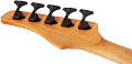 Schecter C-5 STANDARD CS Бас-гитара, 5 струн, цвет CHARCOAL SATIN