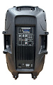 XLINE PRA-15A активная акустическая система 