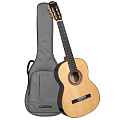 CASCHA CGC310 Performer Series классическая гитара 4/4