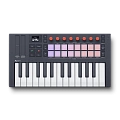 NOVATION Flkey Mini 25 MK2 Миди-контроллер  