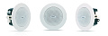 QSC AD-C.SAT-WH 2.5" сателлит, 16 Ом, покрытие 150°, в комплекте C-кольцо для монтажа, белый