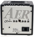 AER Alpha  комбоусилитель для акустических инструментов, 40 Вт, 1 канал, 2 входа