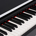 ROCKDALE VIRTUOSO 256 BK цифровое пианино, цвет черный