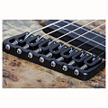 Schecter REAPER-7 Multiscale SSKYB Электрогитара семиструнная