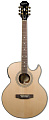 EPIPHONE PR-5E NATURAL GOLD HDWE электроакустическая гитара, цвет натуральный