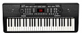 ALESIS HARMONY 54 Синтезатор со встроенными динамиками и клавиатурой с 54 клавишами