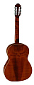 GEWA  PRO ARTE GC 242 II гитара классическая, верхняя дека массив кедра, глянцевый лак