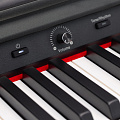 ROCKDALE ETUDE 256 BK цифровое пианино, цвет черный