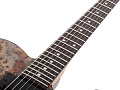 Schecter PT STANDARD BFBB Электрогитара, 6 струн, цвет Black Fade Burst Burl