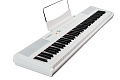 Artesia Performer White Цифровое фортепиано. 88 клавиш, цвет белый