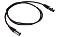 CHAUVET DMX3P5FT DMX Cable кабель DMX, разъемы 3pin XLR, длина 1,5 метра