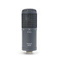 AuraSonics AD22S STEREO стереомикрофон студийный