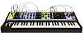 Moog Matriarch 4-нотный парафонический аналоговый синтезатор, со встроенным секвенсором, арпеджиатором, стереофильтрами и аналоговым дилеем