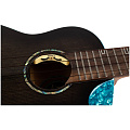 FLIGHT NIGHTHAWK CONCERT EQ-A Укулеле концерт