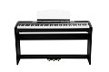 Ringway RP-60 BLK Цифровое пианино, цвет черный