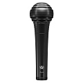 Aston Microphones APEX VOID вокальный микрофон