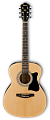 IBANEZ VC50NJP-NT набор из акустической гитары Grand Concert, тюнера, чехла и аксессуаров