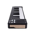 Arturia MicroLab mk3 Black MIDI клавиатура